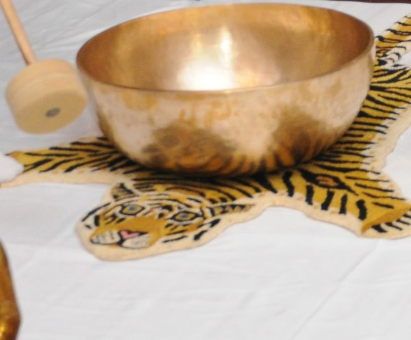 IASH Sound Wellness Retreat in Ahmedabad, INDIA - Image 3