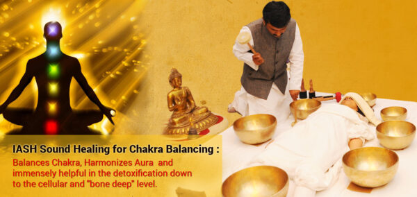 IASH INDIA Professional level 2, Singing Bowls Sound Healing & Training Workshop, Ahmedabad, May 29-June 2, 2024